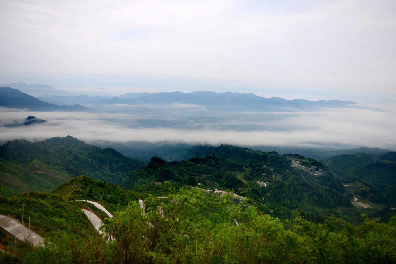 广西烤鹅其实味道都很适合广东朋友,学习培训最好是找个店