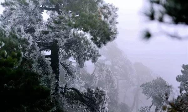 小妙招是什么?游戏画面