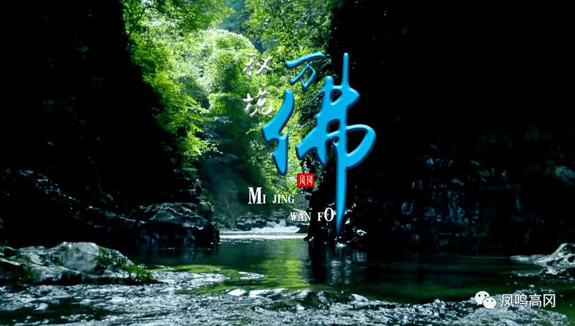 小猫钓鱼开船版最新版下载