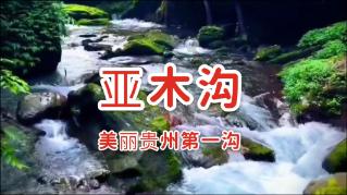 来重庆首家国营美发店找世界冠军给你理发