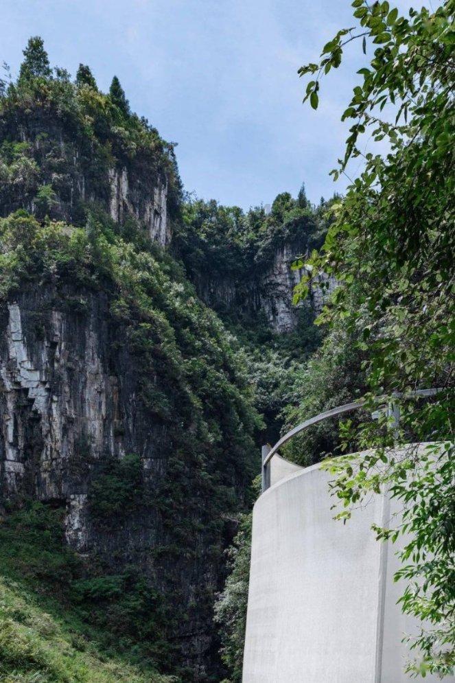 饿狮救援