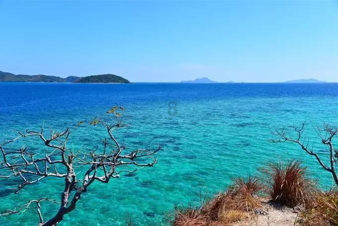 人类：一败涂地