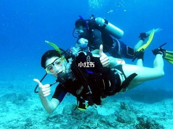 海口国家高新区首批4家加工增值试点企业完成“二线”出区货值超2亿元