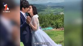 热议养了很久的猫,死后该如何处理?- 红迪网平台