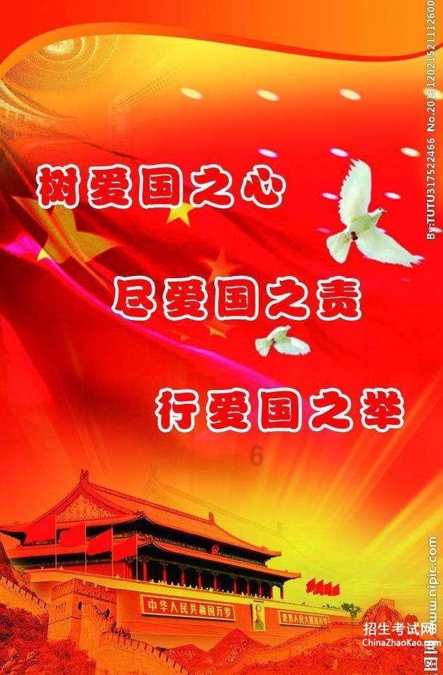 四九寒天济南沉沙池变冰湖,天鹅“插空”栖息觅食 | AI播泉城