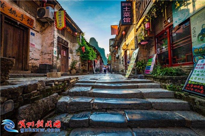 僵尸女友爱爬树