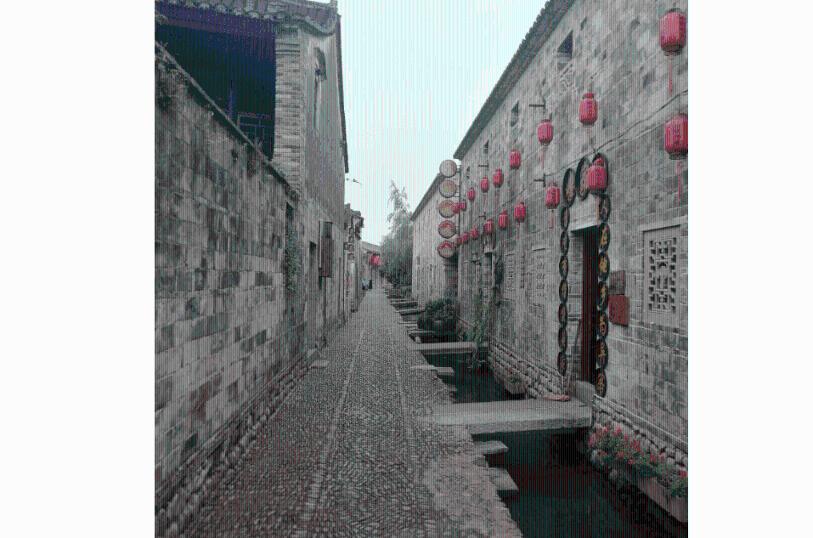 春雨直播app