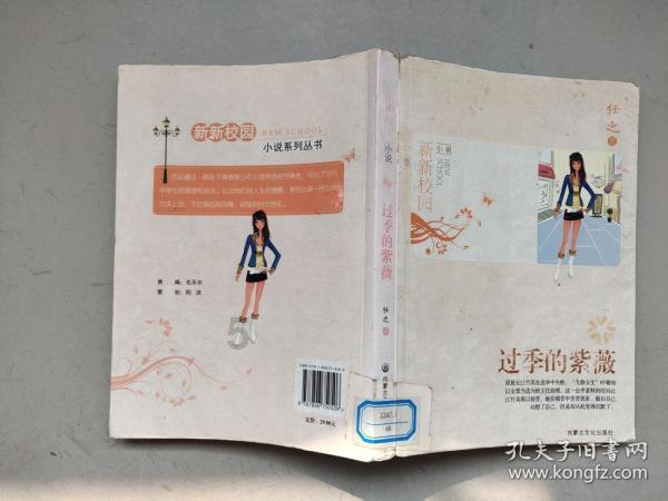 了不起的麦瑟尔夫人
