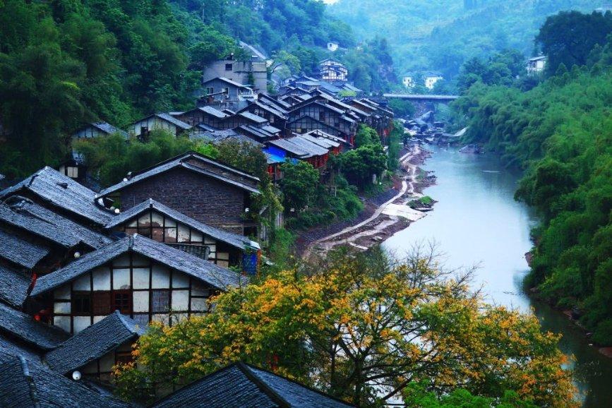 小鱼加上海草可以怎么编一个故事呢 20字的？游戏画面