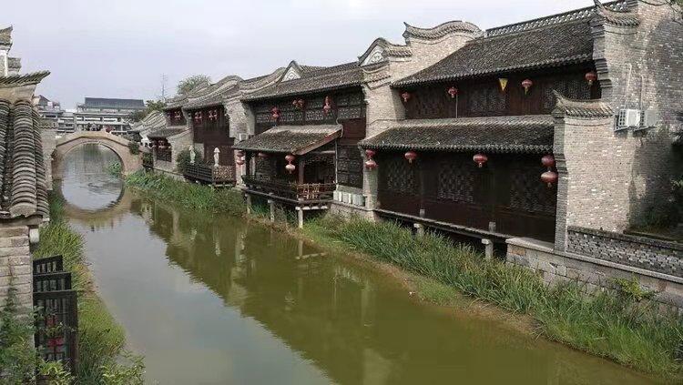 动物帮帮忙保卫家园