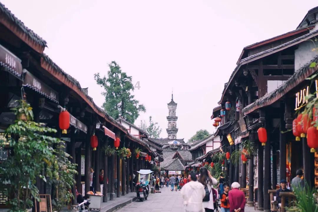 动物帮帮忙保卫家园