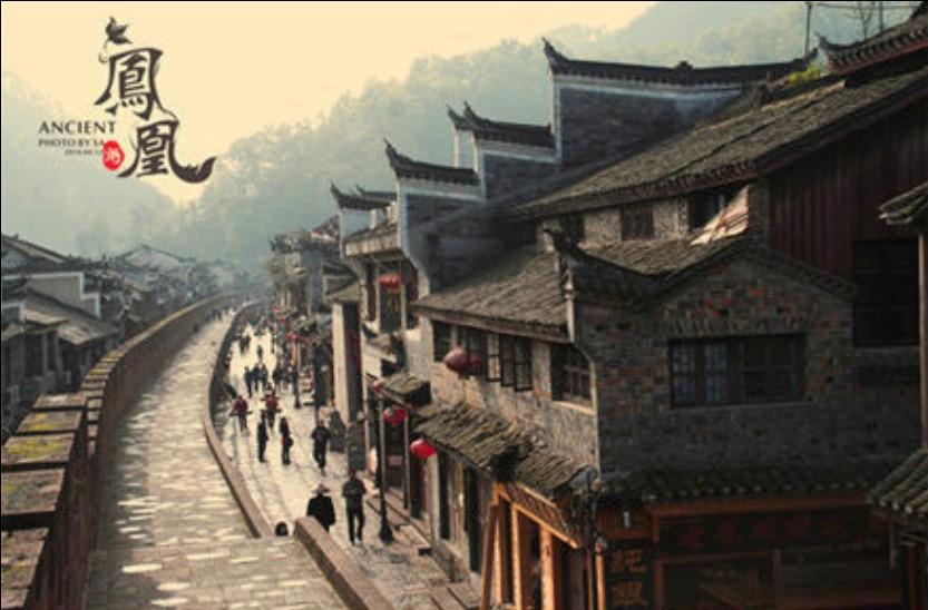 虫虫助手下载